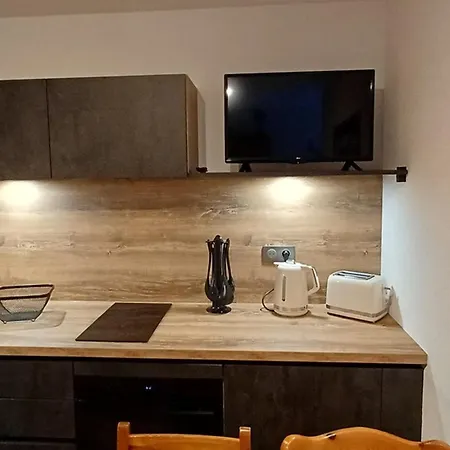 Chaleureux 4 Pers, Balcon, Animaux Ok - Fr-1-676-224 Апартаменты Шатель